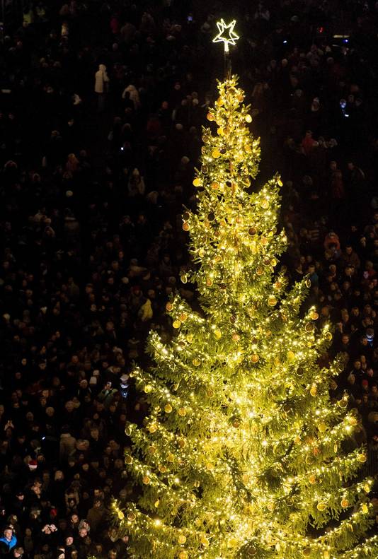 Kerstbomen Gouda En Ijsselstein Bij Tien Mooiste In De Wereld Binnenland Ad Nl
