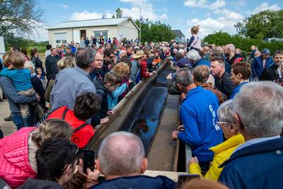 ‘Museum Over de Maas’ op de rem