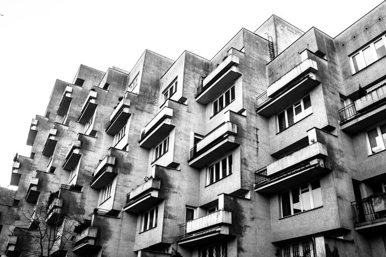 Phd dissertation picture