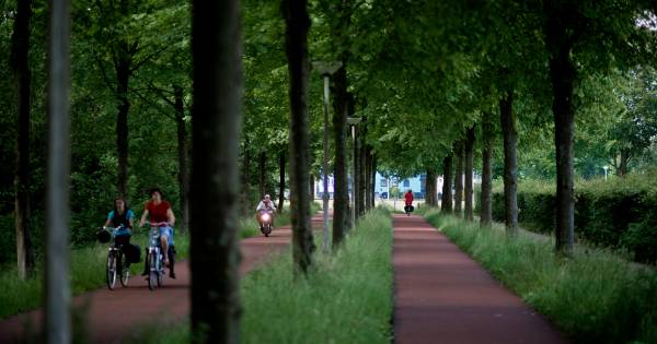 Werkstraf geëist voor zware mishandeling in Park Schothorst.
