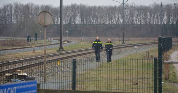 Graffiti-spuiters verstoren treinverkeer bij Mariënberg | Twenterand - Tubantia