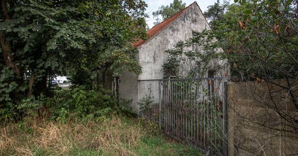 Strijd om erfenis Budelse tante duurt voort | Cranendonck, Heeze-Leende - Eindhovens Dagblad