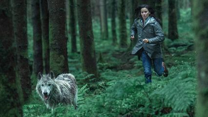 2. A quoi rêvent les loups