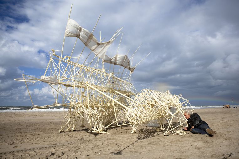 Strandbeest Theo Jansen in Arenbergpark Leuven Regio HLN