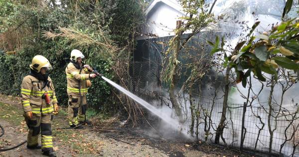 Politie blust brandende coniferen in Velp met tuinslang van de buren