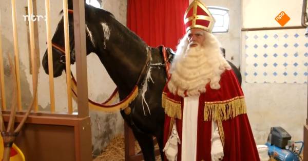 Ruim 600 000 Kijkers Zien Dat Sinterklaas Paard Ozosnel Niet Wit Maar Zwart Is Show Ad Nl