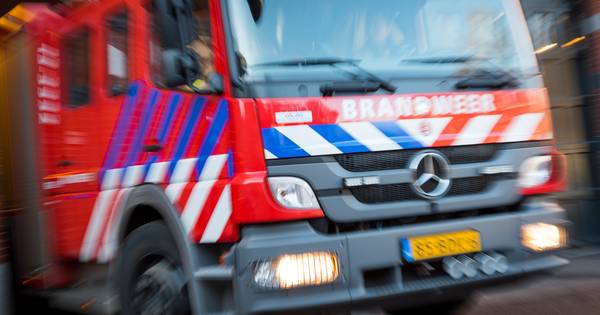 Lintjes voor vijf brandweerlieden van het korps Giesbeek en Angerlo