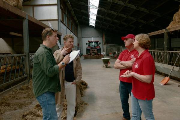 Jani & James doen-het-zelf