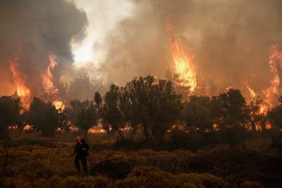 Tientallen bosbranden woeden in Griekenland en Spanje