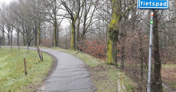 Keuze gemaakt; geen asfalt op slechte plekken fietspad op Zeedijk - BD.nl