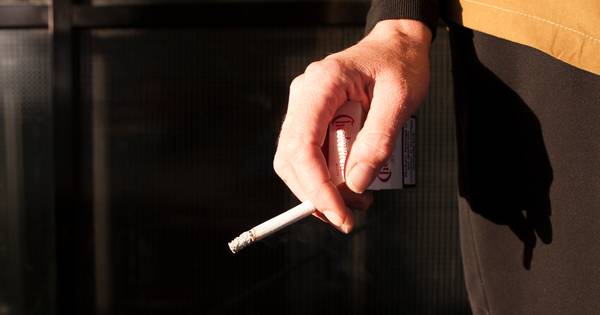 Grote actie tegen tabaksmaffia: schatkist liep 67 miljoen euro aan accijnzen mis - Tubantia