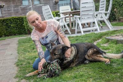 Hond Zoran laat zich niet ontvoeren: 'Zo had ik hem nog nooit gezien'