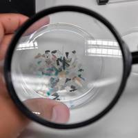‘Een van de eerste bronnen is voedsel’: impact van plastic deeltjes op onze gezondheid wordt steeds duidelijker