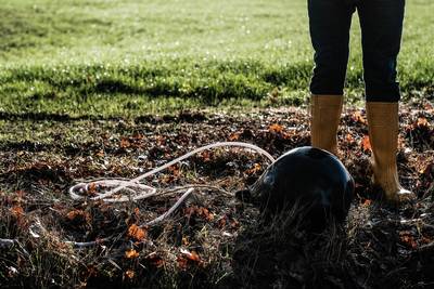 Bal in duiker moet water vasthouden in gortdroge Achterhoek