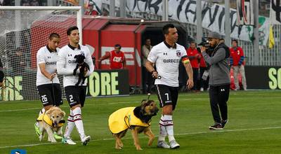 Spelers Chileense club niet met kinderen maar met hondjes het veld op