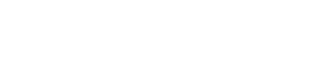 La chute du faucon noir