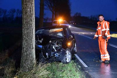 Auto rijdt tegen boom bij Poortvliet