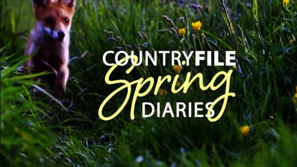 Countryfile Diaries