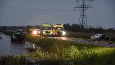 Vrouw overleden na frontale botsing in Biesbosch