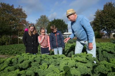 Einde dreigt voor Herwense schooltuin bij Sprankel: ‘Eeuwig zonde’