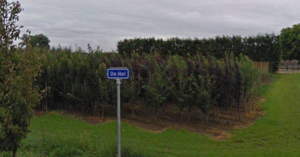 De een-na-opvallendste straatnaam van Nederland staat in Randwijk - De Gelderlander