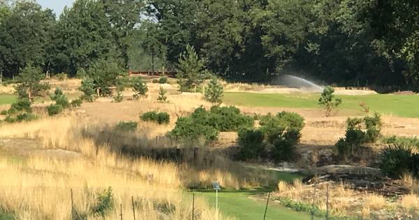 Geel is het nieuwe groen, ook op golfbaan Bernardus in Cromvoirt - BD.nl