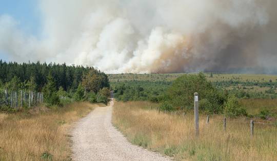 Warmste dag van het jaar: 35,9 graden in Ukkel evenaart hoogste augustustemperatuur ooit gemeten • Al 60 hectare verwoest bij natuurbrand in Hoge Venen