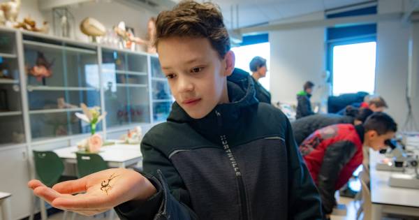 Olifantentandpasta en Zweedse lesmethoden moeten leerlingen naar de havo in Ubbergen trekken