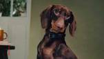 Zara Home lanceert smaakvolle oplossing voor dierenspeelgoed