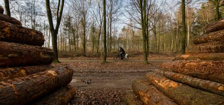 Zwembadpersoneel Ook In Beroep Veroordeeld Voor Dood Salam 9 Rhenen Gelderlander Nl