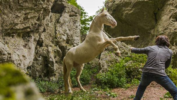 Zappbios: Stormwind - 2