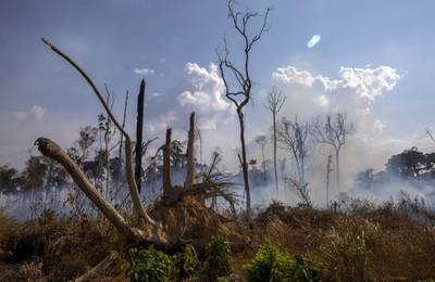 Greenpeace demande la fin de toute activité en forêt équatoriale pour lutter contre les incendies