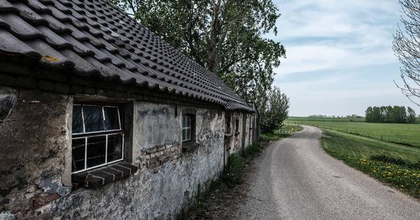 Het ooibos in de Geitenwaard moet het summum voor vogels worden