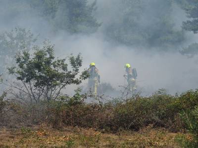 Heidebrand in vennengebied tussen Alverna en Overasselt onder controle