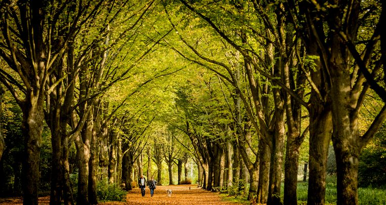 Petitie tegen herinrichting Amsterdamse Bos veelvuldig ondertekend