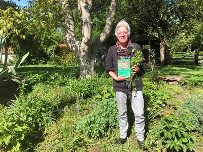 Wat is het nut van onkruid? Heemkundekring schreef er een boek over
