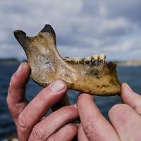 Archeologen ontdekken oorlogsschip dat ruim twee eeuwen geleden werd gekelderd door Britse admiraal Nelson