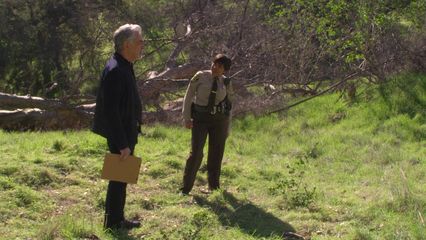 1. Dans la peau d'un autre