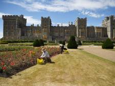 Megaklus! Zo lang heeft deze Nederlander nodig om alle klokken in Windsor Castle goed te zetten
