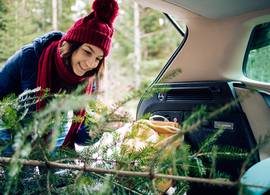 Mag je je kerstboom met een geopende achterklep in de auto vervoeren?