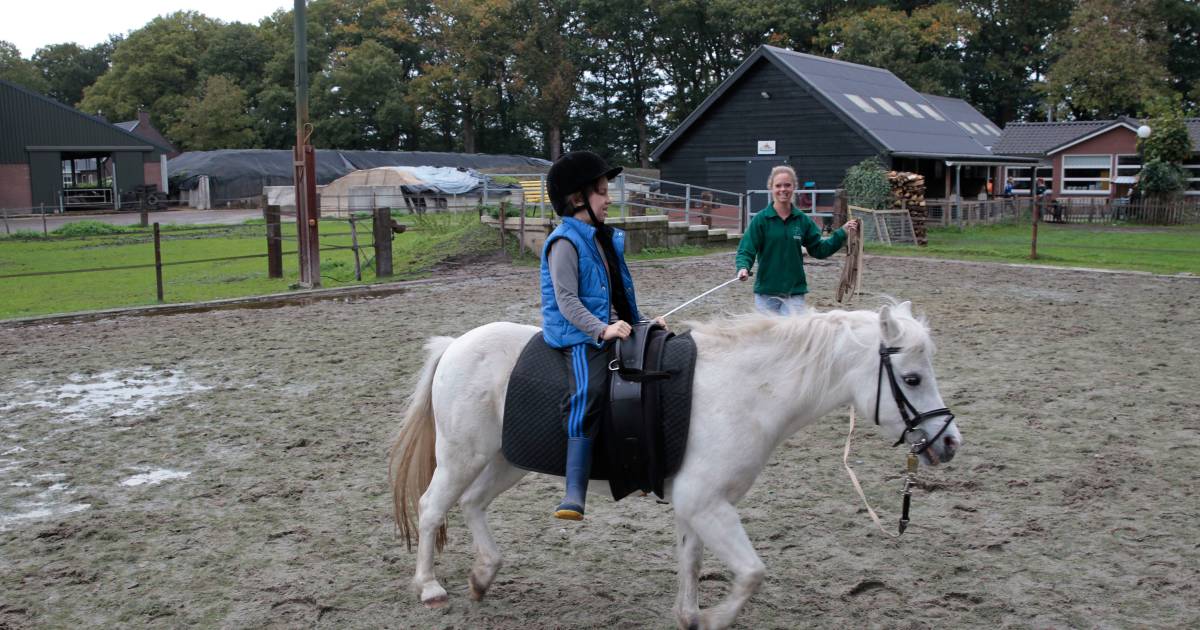D'n Hoef in Lierop voorkomt wachtlijst in opvang | De Peel ...