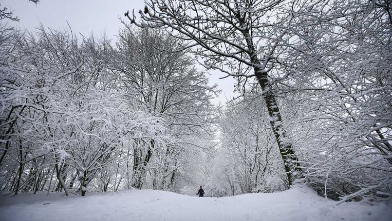 Knmi Zwakt Waarschuwing Voor Extreem Weer Af Het Parool