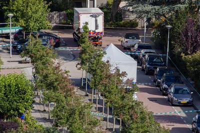 Voor een moord als deze zijn er tientallen potentiële schutters