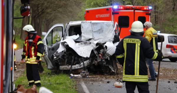 Zwaargewonde bij frontale botsing met boom - De Gelderlander