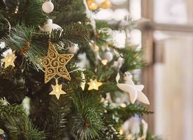 Zo ruikt je kerstboom nog lekkerder