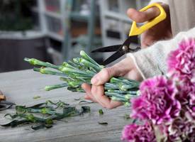 Bloemen schuin afsnijden? Zó doet de expert dat 