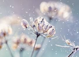Krijgen we een witte kerst? Dit is de weersverwachting voor december