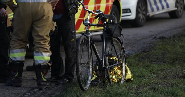 Fietser schrikt van tegenligger en belandt in sloot in Lith - BD.nl