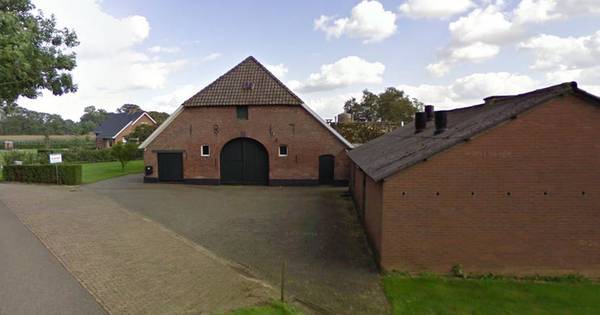 Boer Koolen gooit het over andere boeg - De Gelderlander
