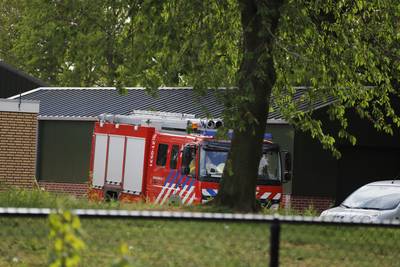 Grote inzet brandweer na stroomstoring Landhorst redt duizenden varkens het leven